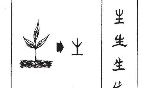 便隐血和便潜血一样吗、便潜血查的是尿还是屎 -便隐血和潜血的区别网